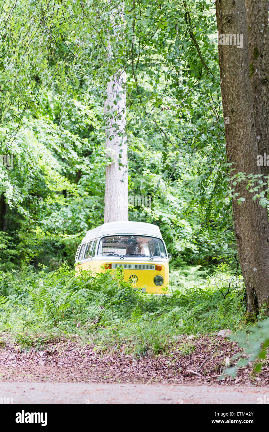 VW camper hiding in the trees Stock Photo