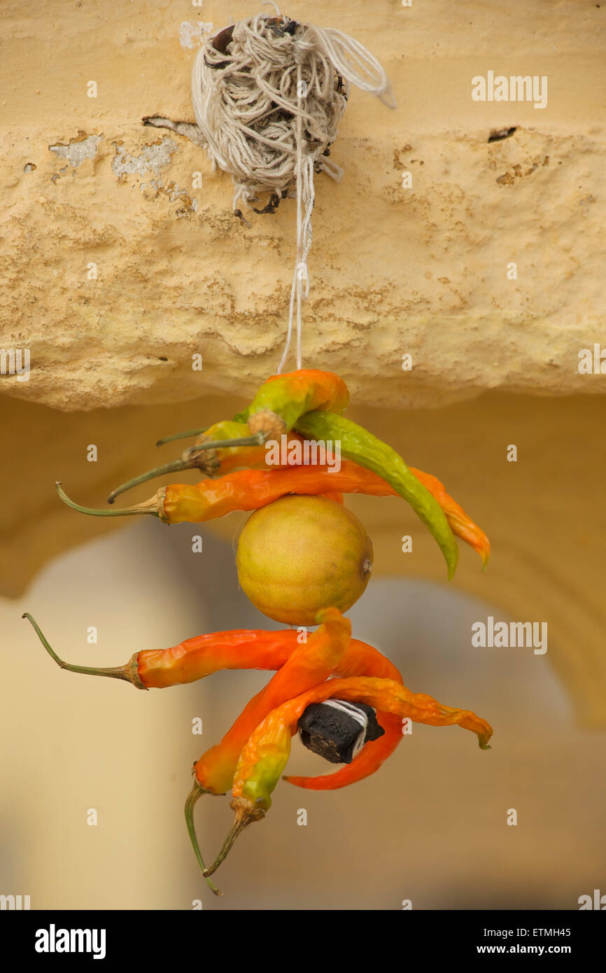 Good luck charm. Talisman of lemon and chilli peppers, Jaisalmer