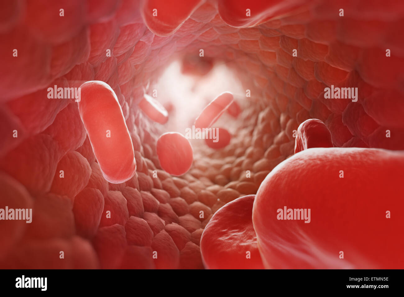 Stylized illustration showing red blood cells flowing through the blood stream. Stock Photo