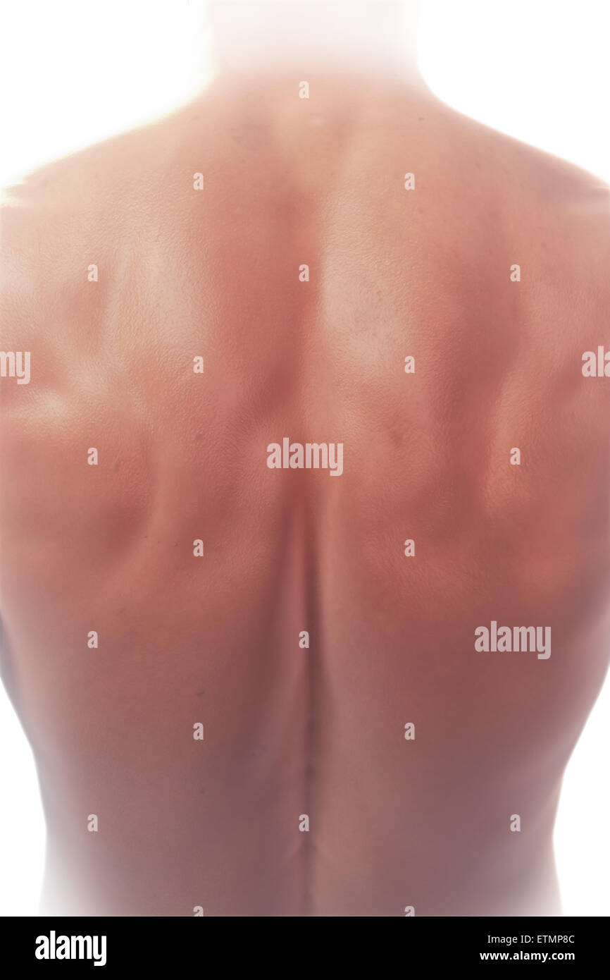 Illustration showing the surface anatomy of the back. Stock Photo