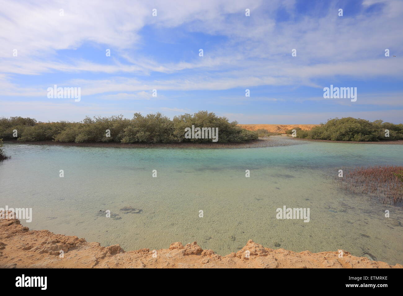 Egypt grove hi-res stock photography and images - Alamy