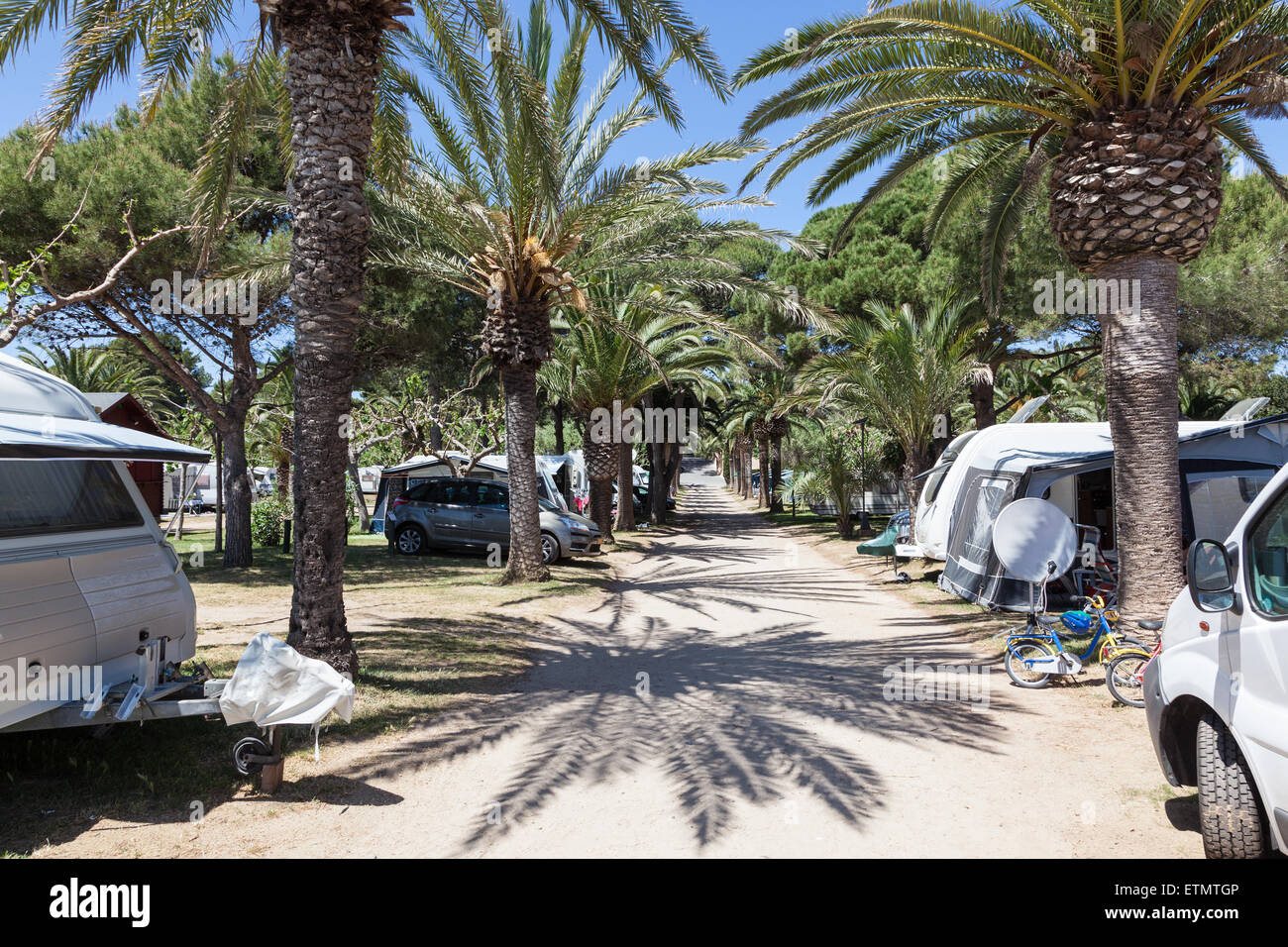 Caravans and motor homes on a camping site with palm trees. Andalusia, Spain Stock Photo