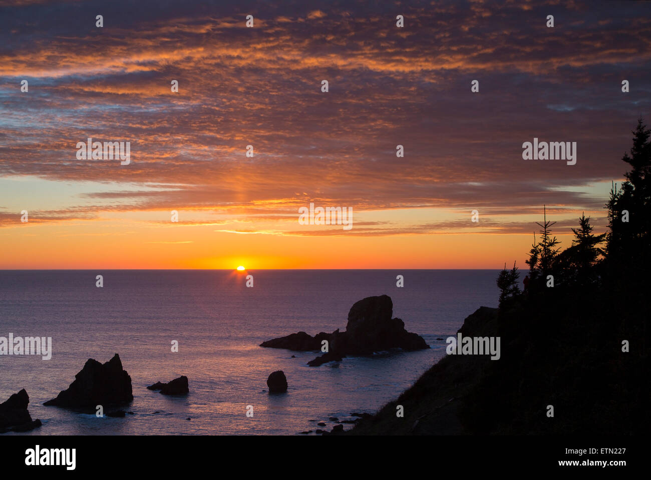 Setting Sunlight over Seastacks and Ecola State Park near Cannon Beach, Oregon, USA Stock Photo