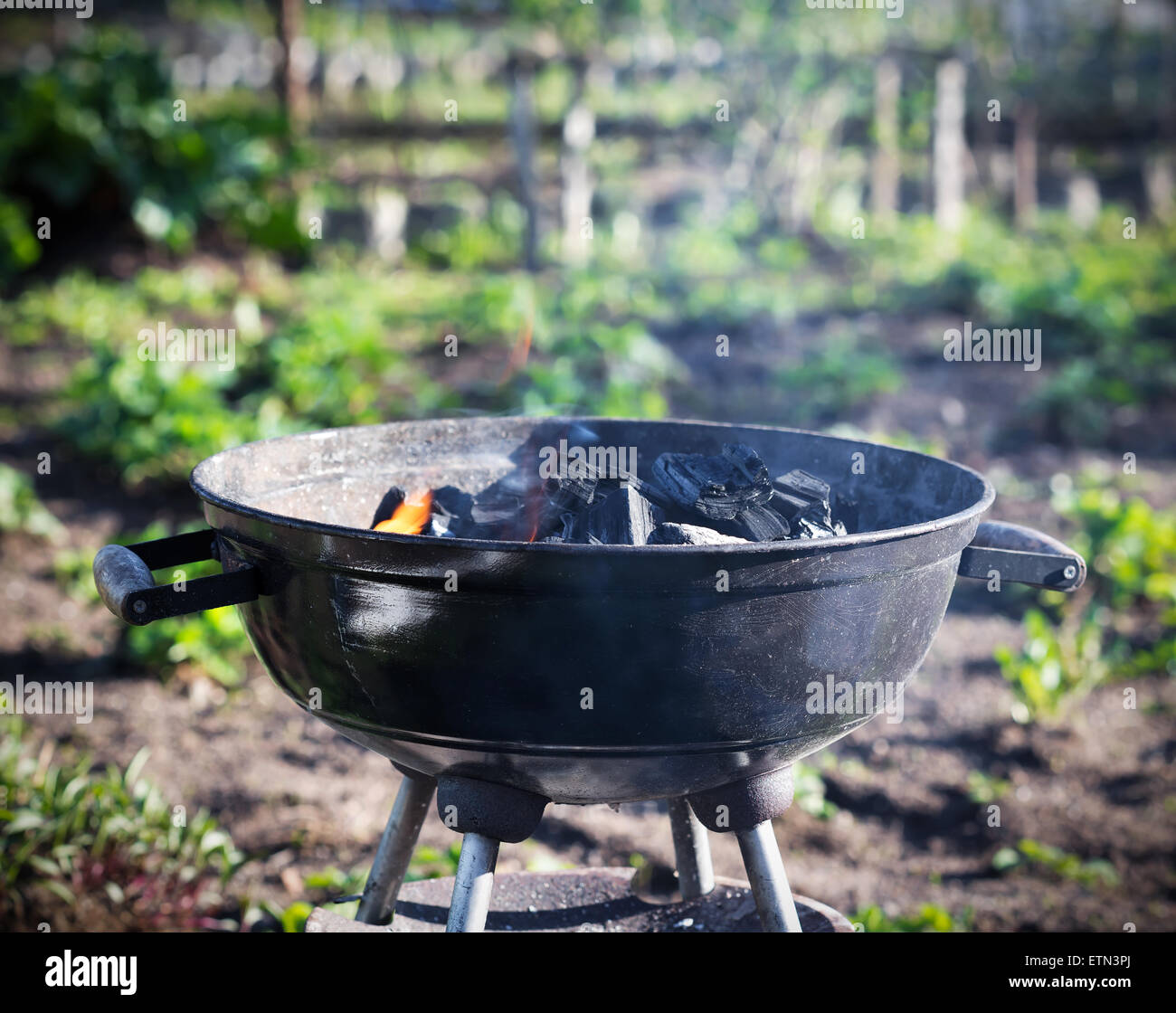 Burning charcoal in barbecue, outdoors Stock Photo Alamy