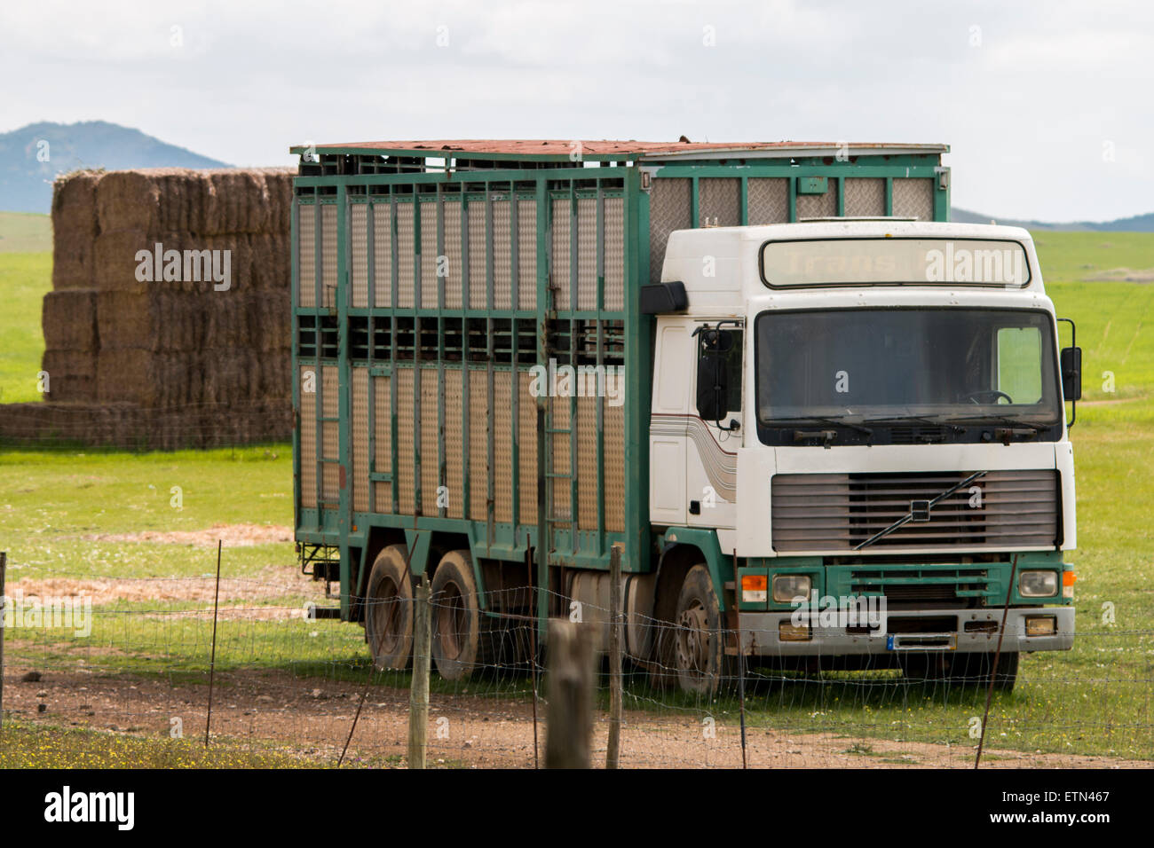 View of a animal transport truck on the countryside Stock Photo Alamy