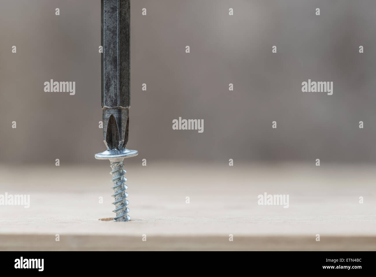 Screwing screw into wooden plank, closeup Stock Photo Alamy