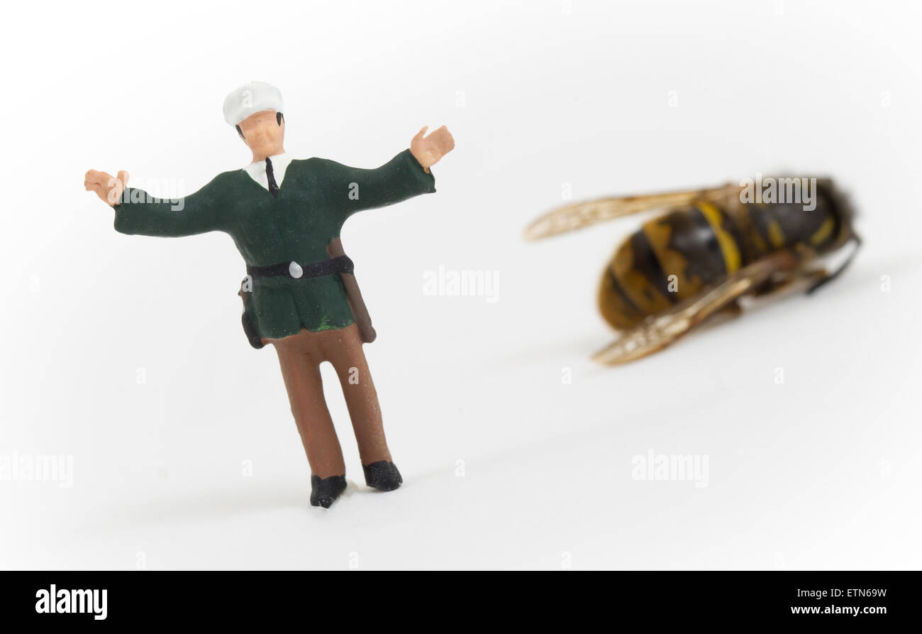 Miniature police officer guarding a crime scene - dead wasp - isolated Stock Photo