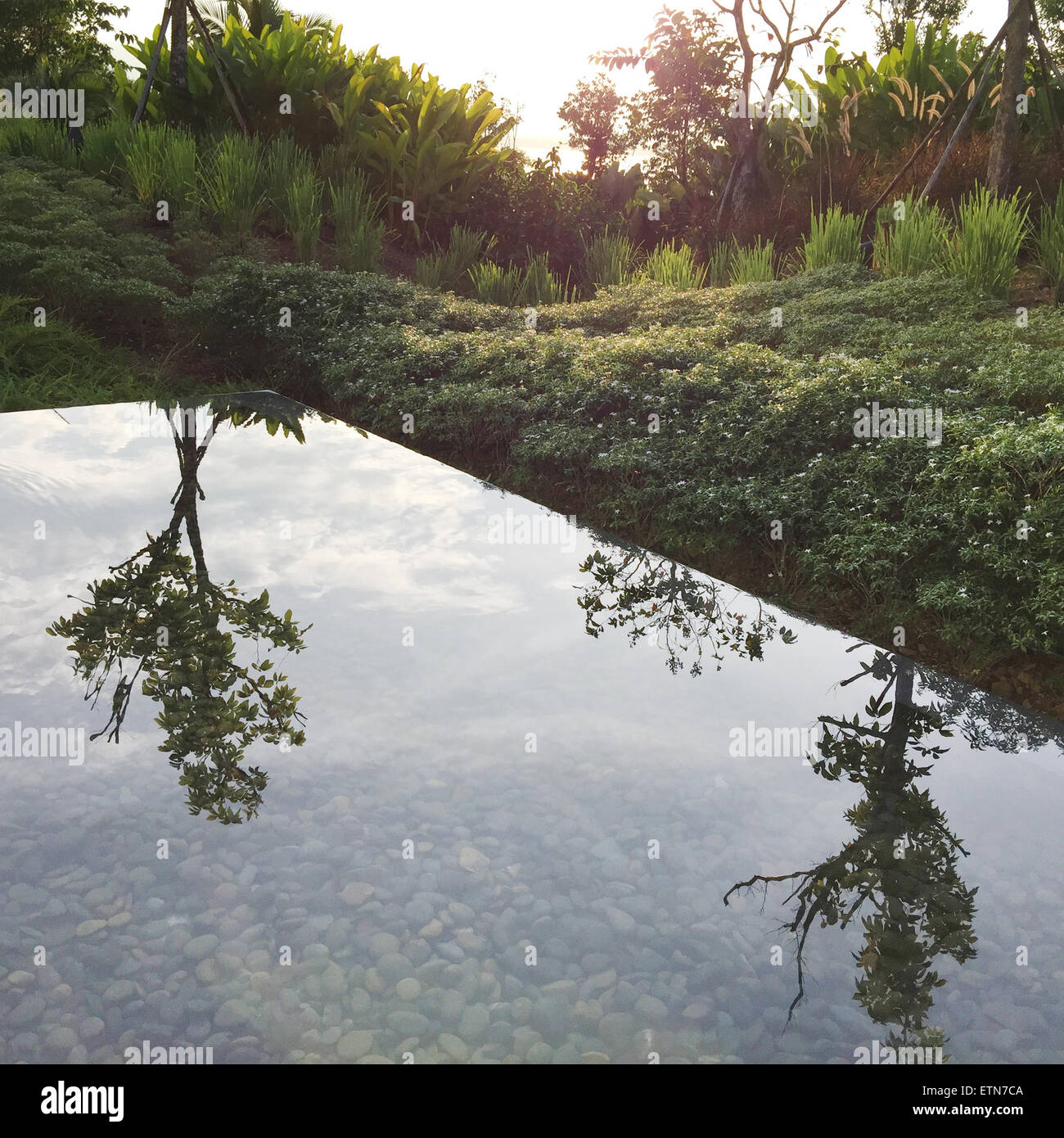 Trees reflected in water hi-res stock photography and images - Alamy