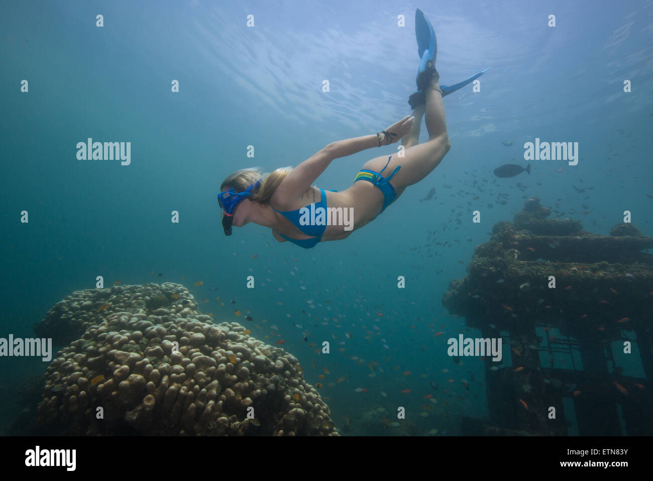 Woman snorkeling and exploring a sunken temple and coral reef, Bali, Indonesia Stock Photo