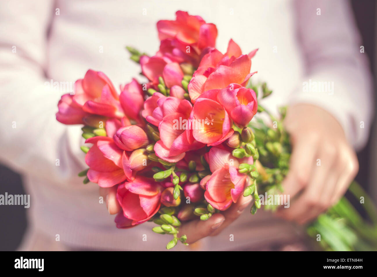 Close-up of a woman holding a bunch of freesia flowers Stock Photo