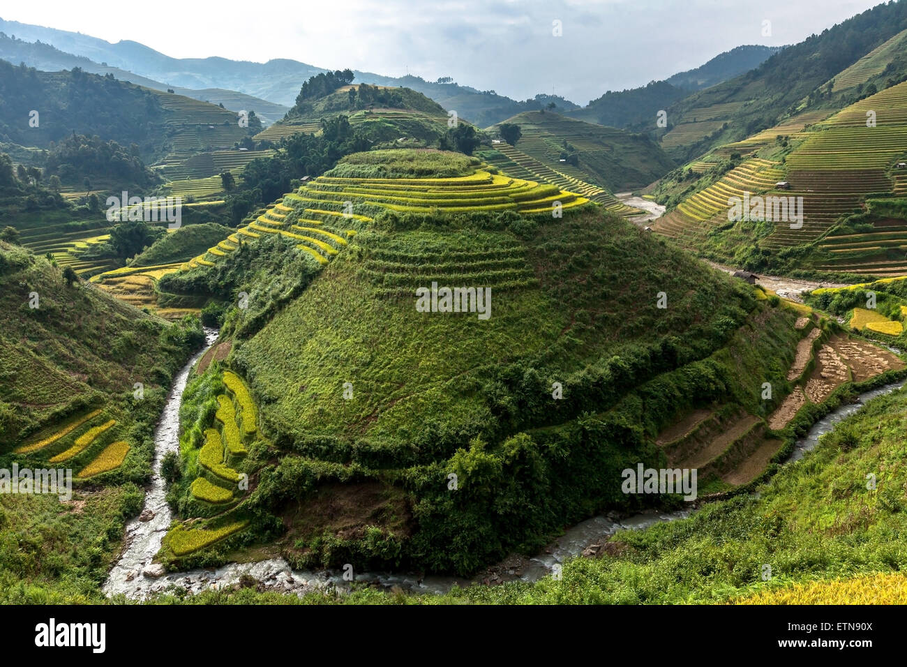 Rice fields, Mu Cang Chai, YenBai, Vietnam Stock Photo