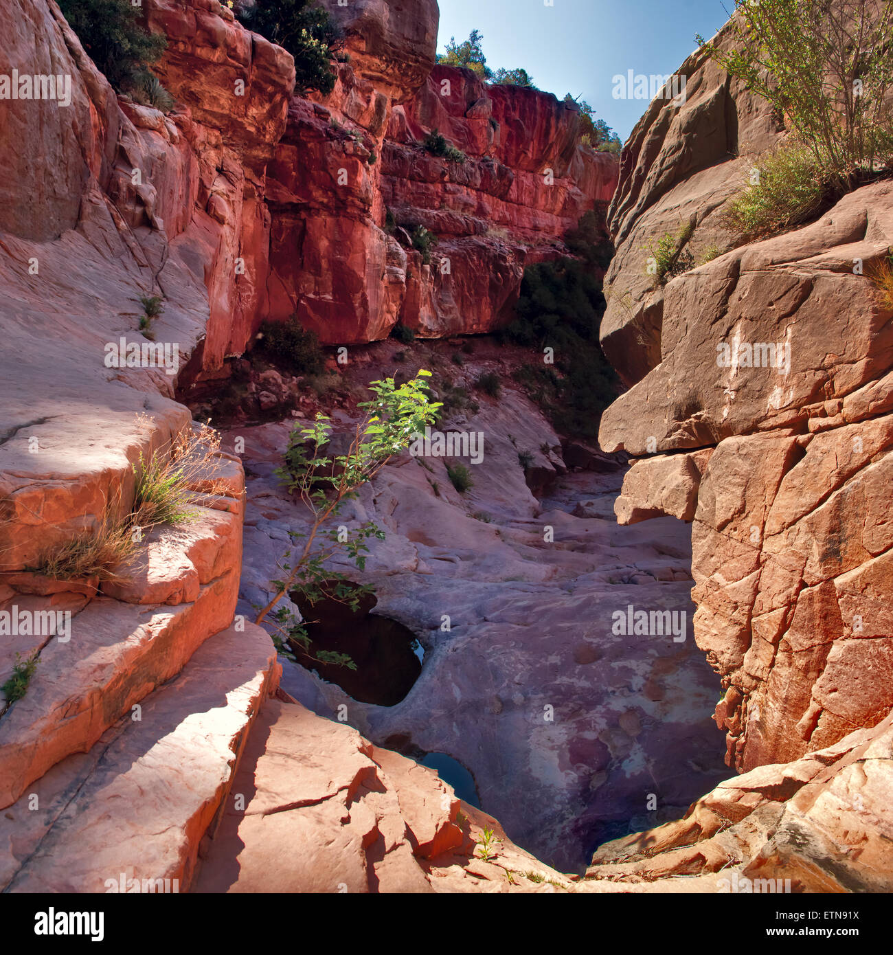Bottom of canyon hi-res stock photography and images - Alamy