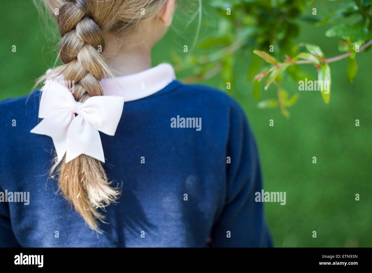 Rear view of a girl with braided hair Stock Photo