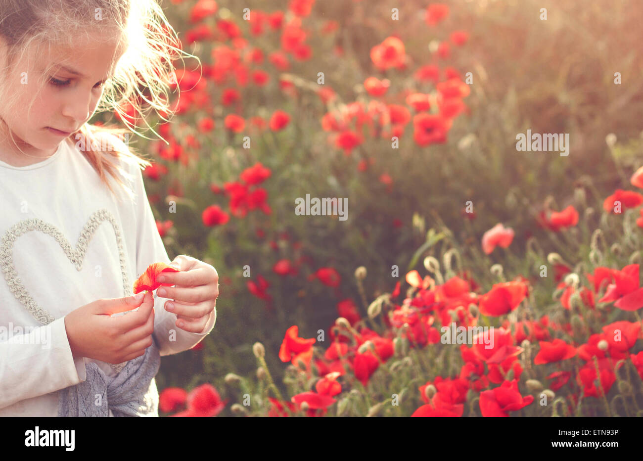 Girl standing in a field of poppies holding a poppy Stock Photo