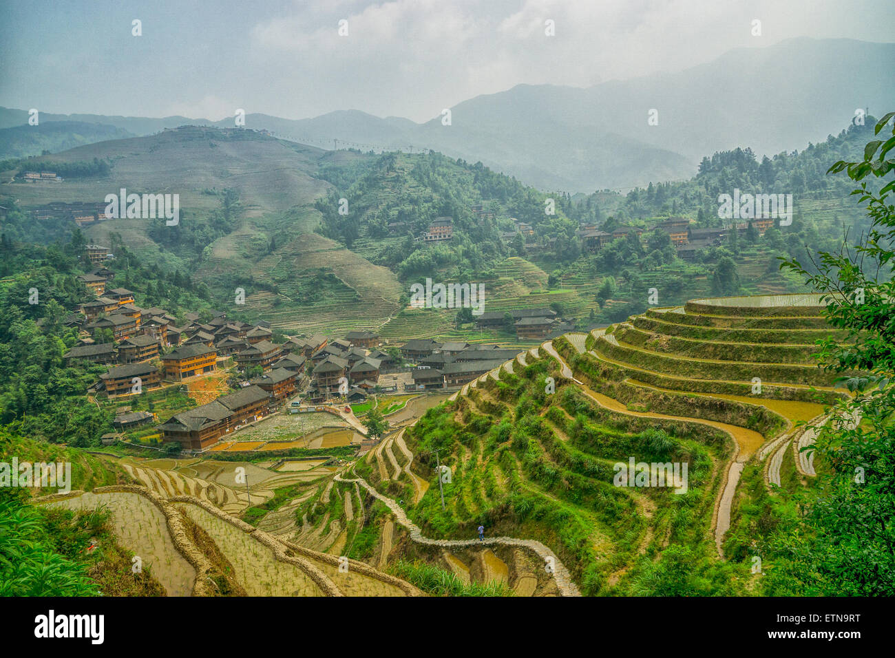Rice terraces and wooden houses, Guilin, China Stock Photo