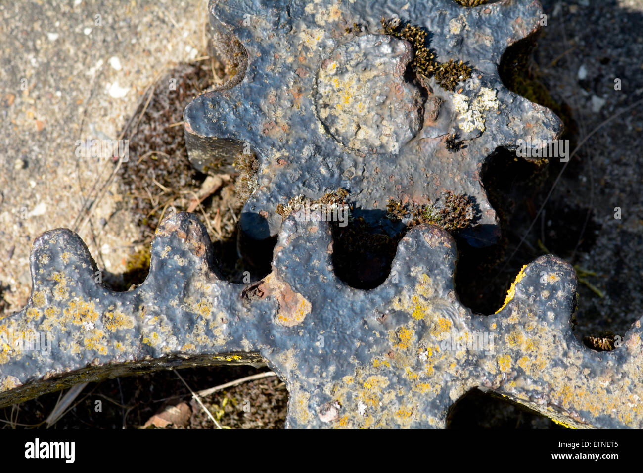 Canal lock gear cog plates alongside the River Ouse in Great Barford ...