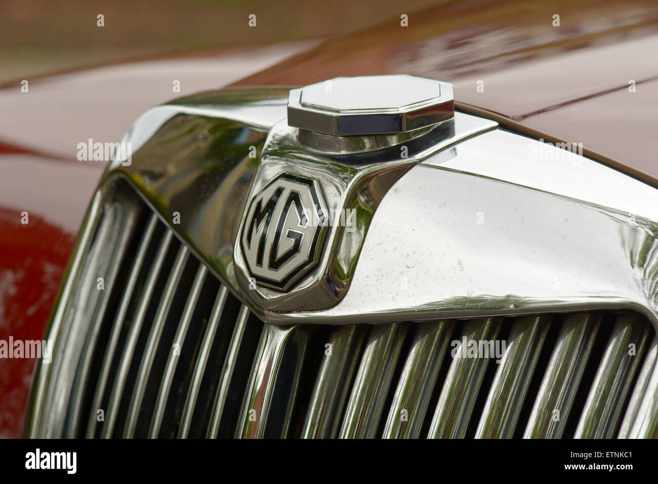 MG car chrome radiator grill Stock Photo Alamy
