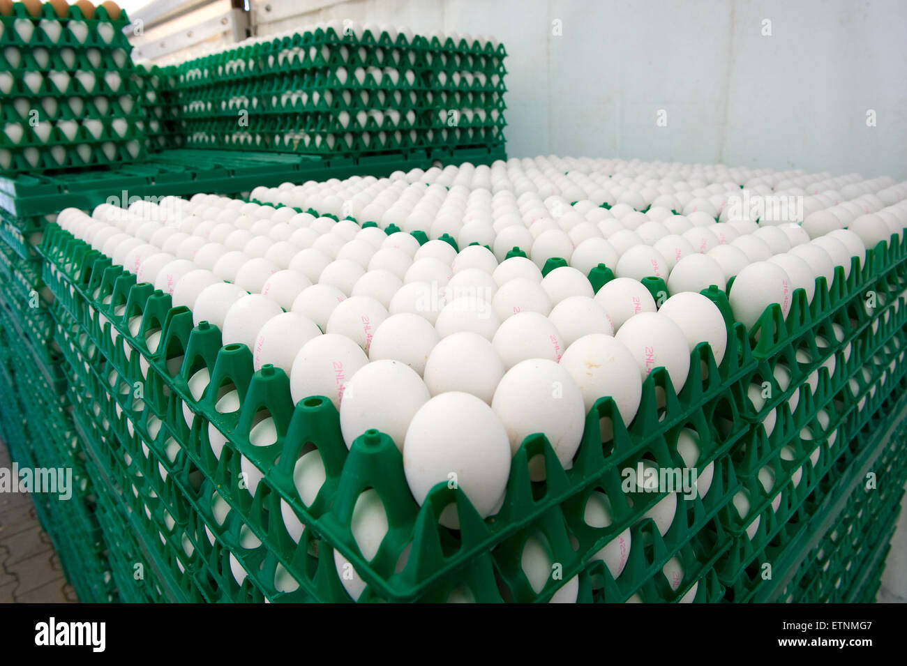 White eggs in green plastic crates ready to be transported from a chicken farm Stock Photo
