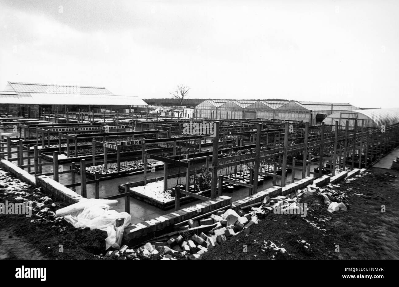 Arcadia Nurseries, Gardening Centre, Nunthorpe, Middlesbrough, North Yorkshire, Circa 1989 Stock