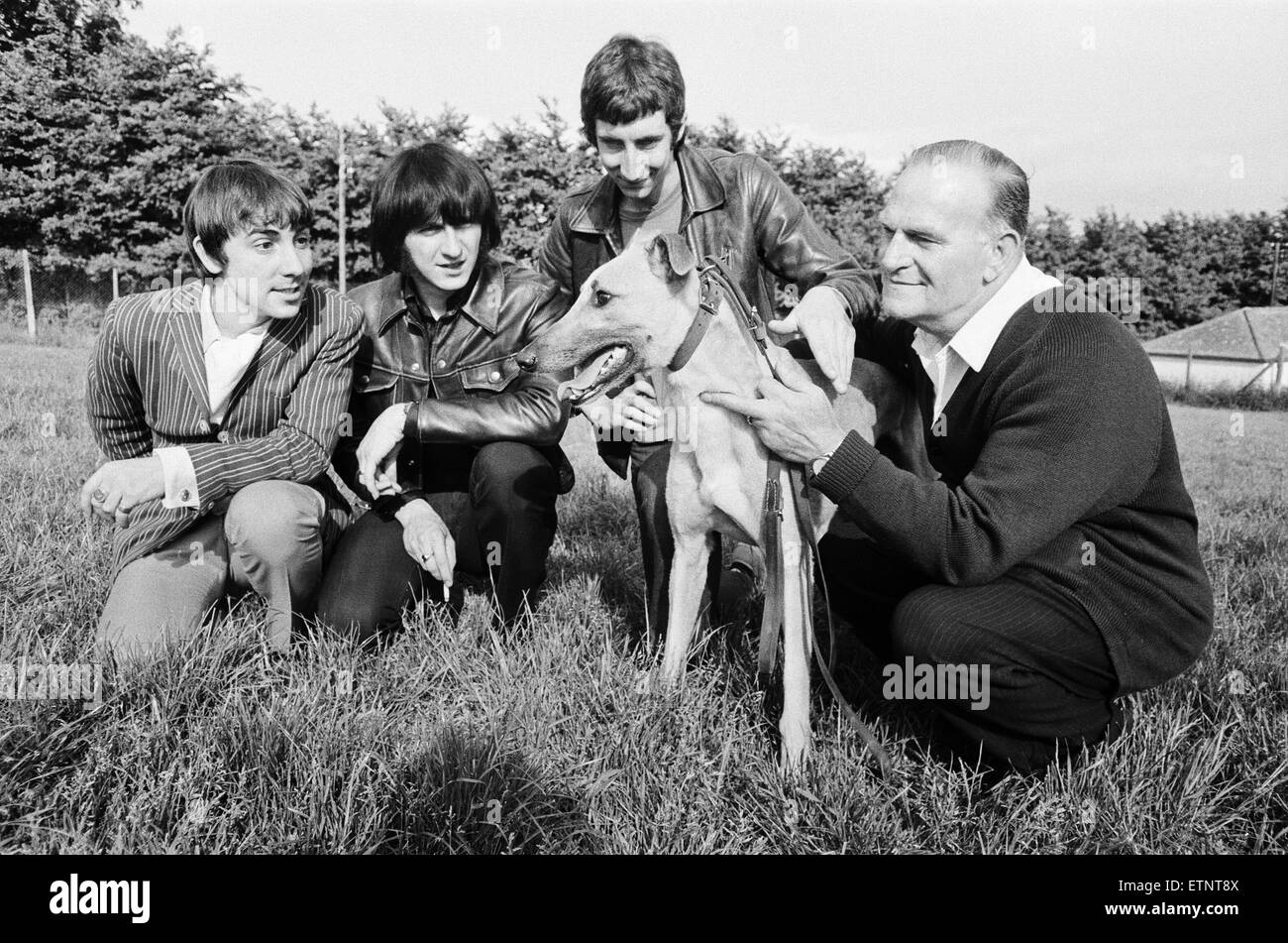 The world's fastest greyhound and favourite for the greyhound derby Yellow Printer comes out of his guarded hiding place to meet rock group The Who. The Who members left to right: Keith Moon, John Entwistle and Pete Townshend with  trainer John Bassett.  20th May 1968. Stock Photo