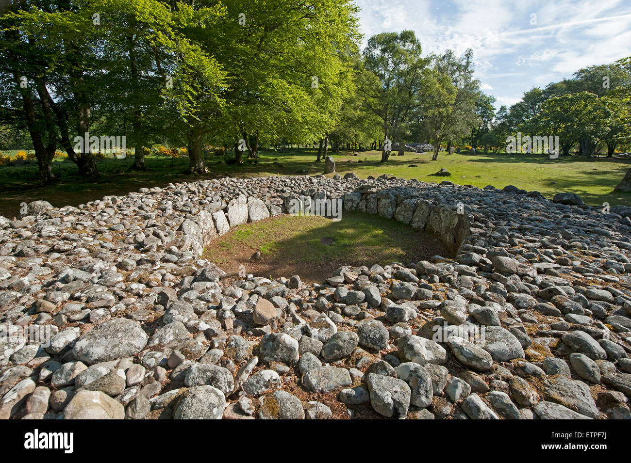 The prehistoric Neolithic burial site at the Balnuran Clava Cairns, near Culloden, Inverness-shire.  SCO 9874 Stock Photo