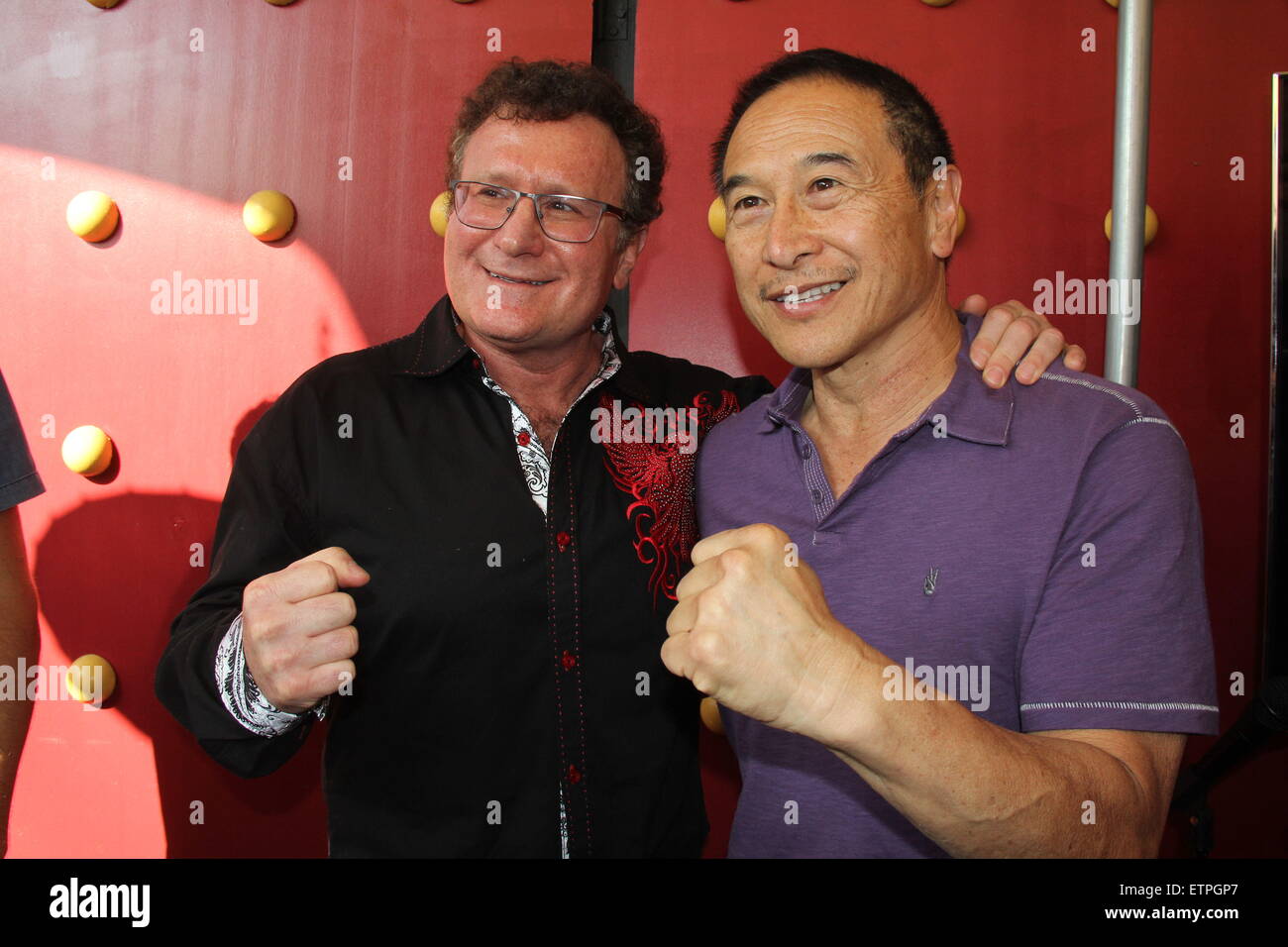 June 14, 2015 Hollywood, California, U.S. I15763CHW.The Martial