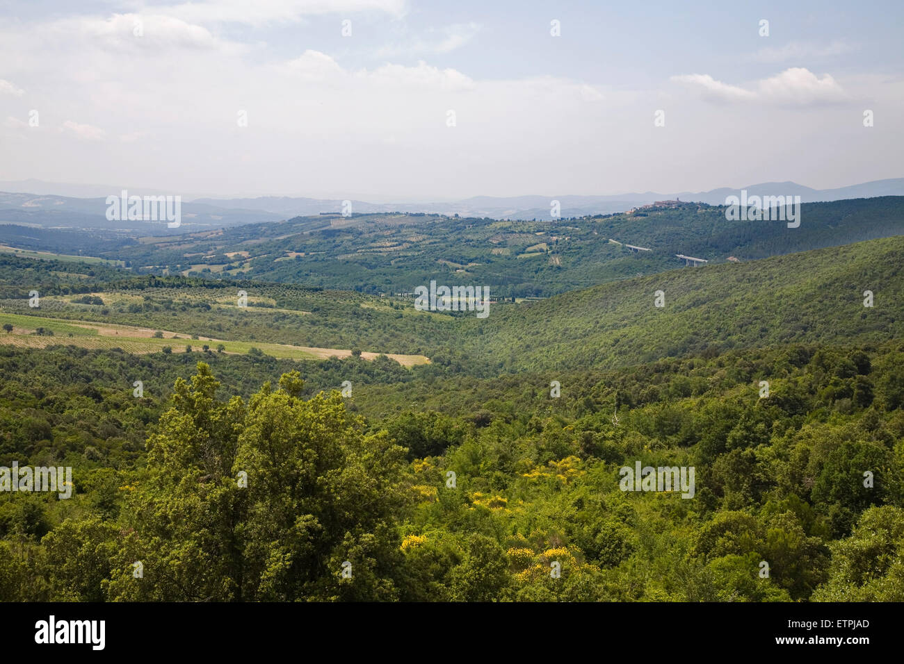 europe, italy, tuscany, panoramic view in casal di pari area Stock Photo