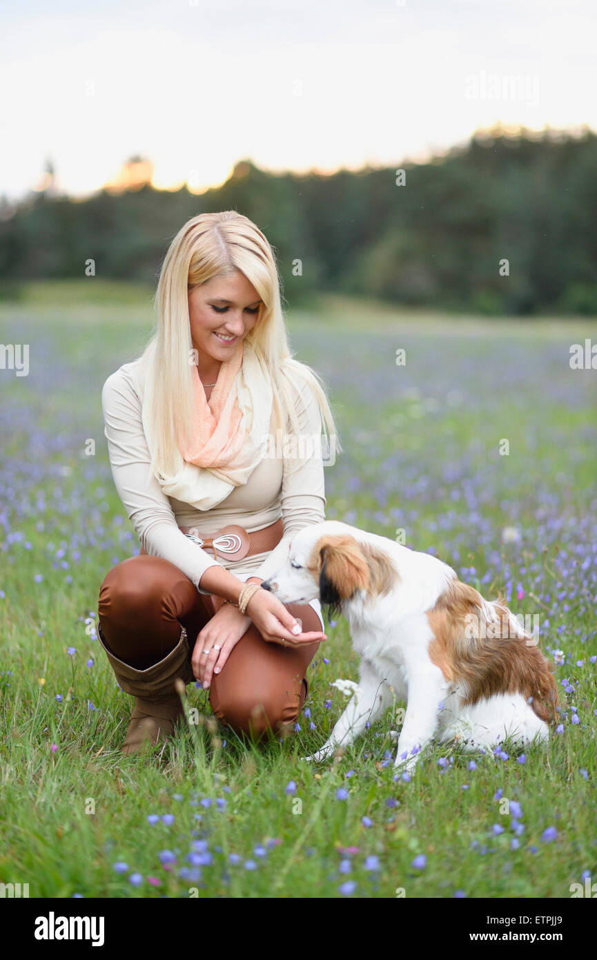 Woman, young, dog, Nederlandse Kooikerhondje, puppy, meadow, sit Stock Photo