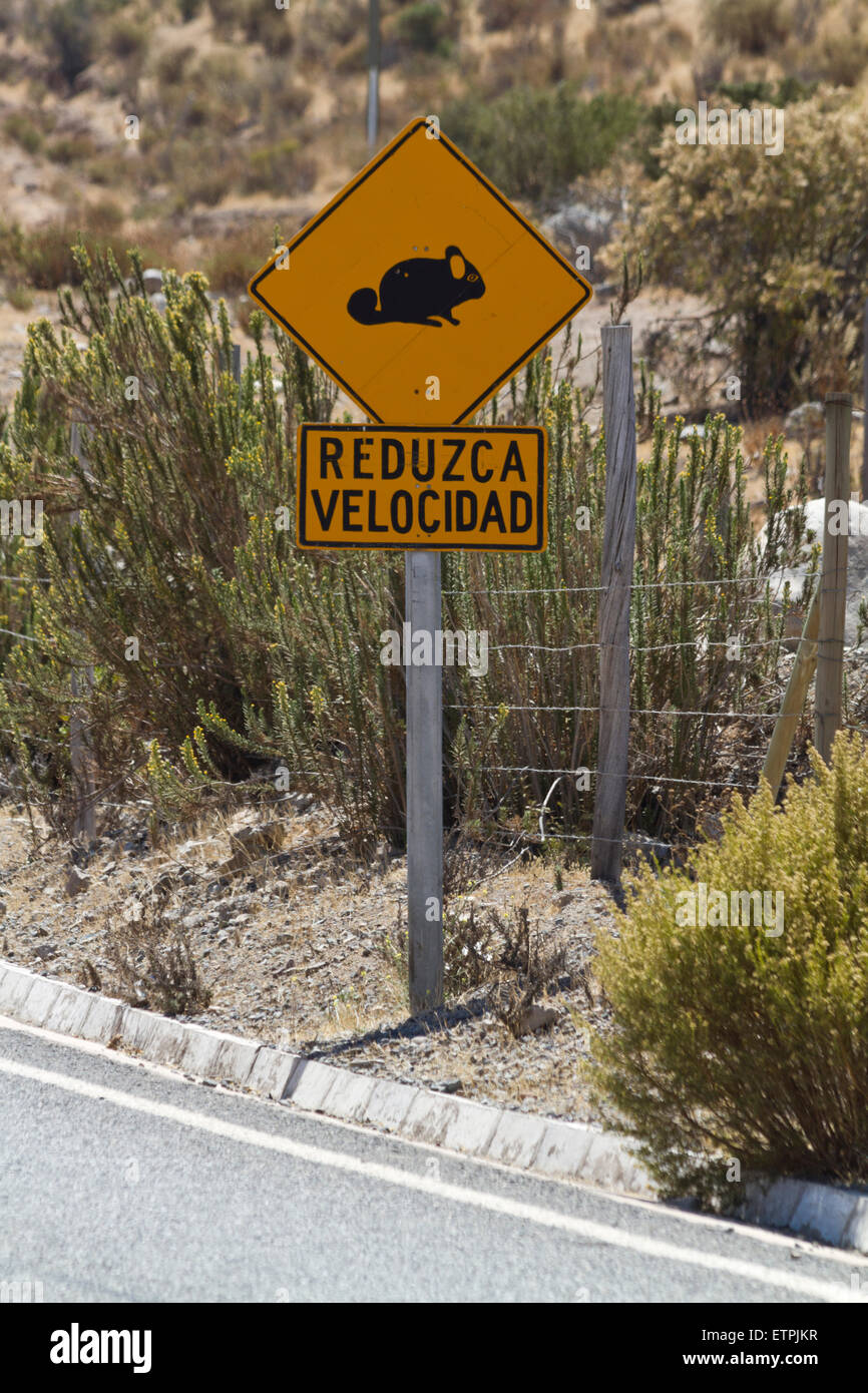 Sign on wild chinchillas, Chile Stock Photo