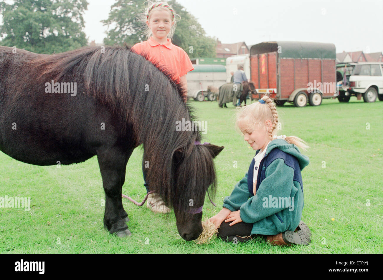 Shetland Pony Show, Liverpool, 3rd September 1994. Stock Photo