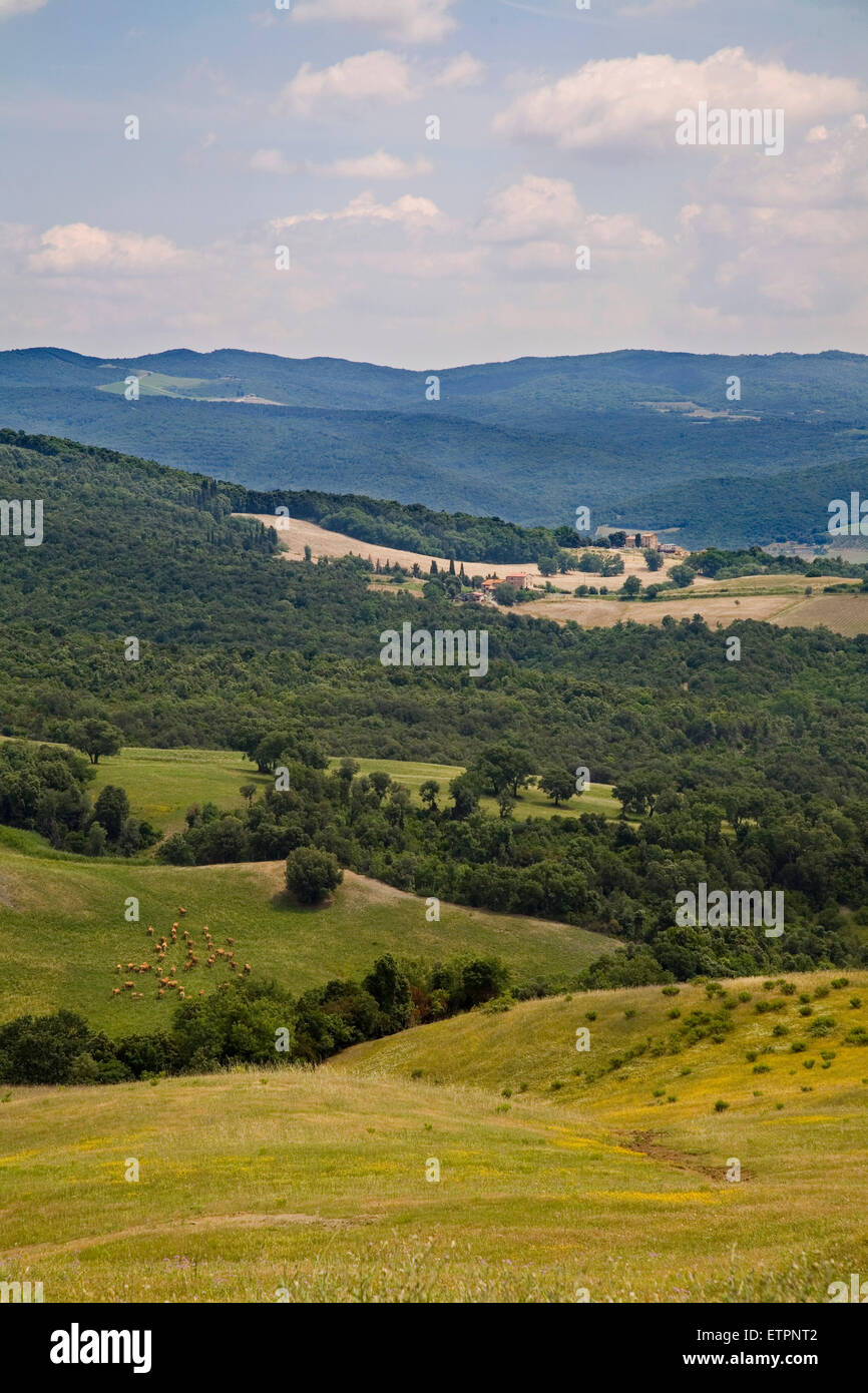 europe, italy, tuscany, casal di pari area, country Stock Photo