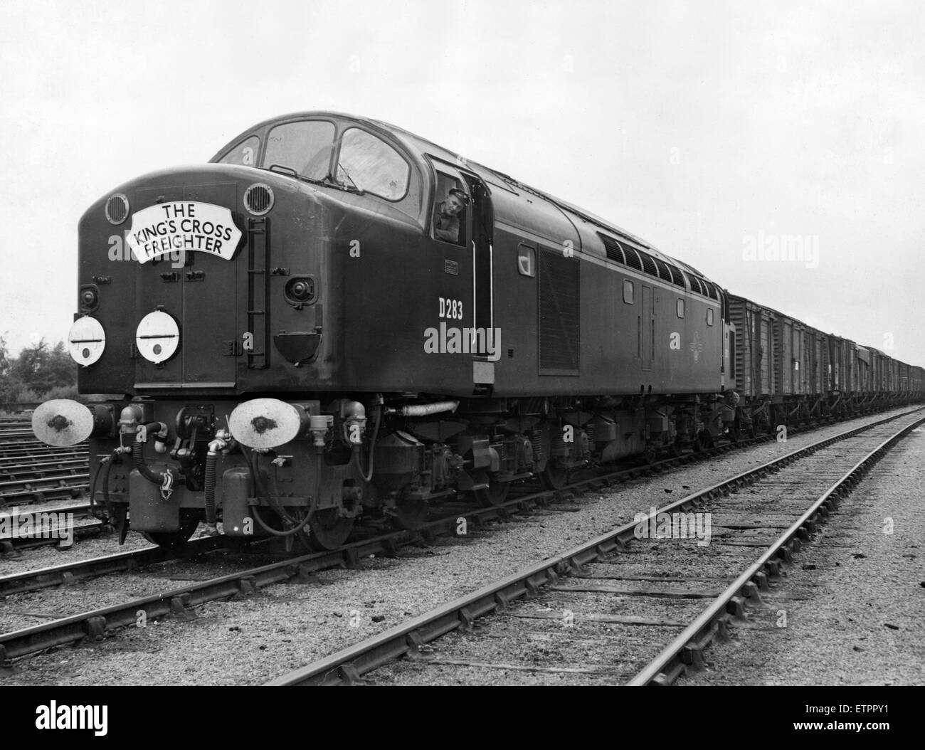The Kings Cross Freighter, Class C freight train, departing from Park Lane Depot, Gateshead at 1925pm with a King's Cross Assured Arrival time of 0520am. The train was subject to a 50 wagon limit. Pictured, 24th August 1960. The Locomotive is a D283, Electric type 4 diesel hauling goods train. Stock Photo