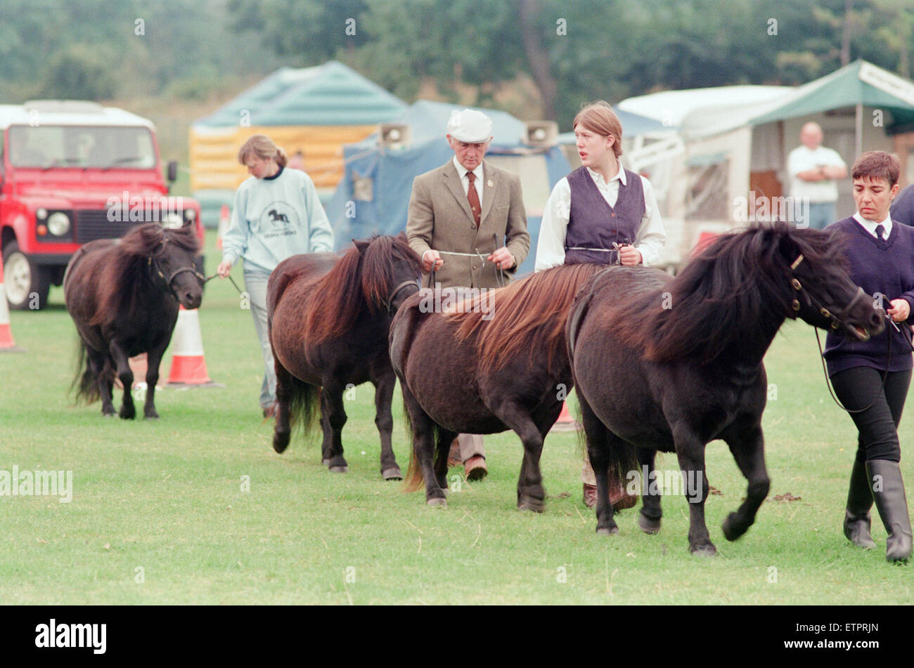 Shetland Pony Show, Liverpool, 3rd September 1994. Stock Photo