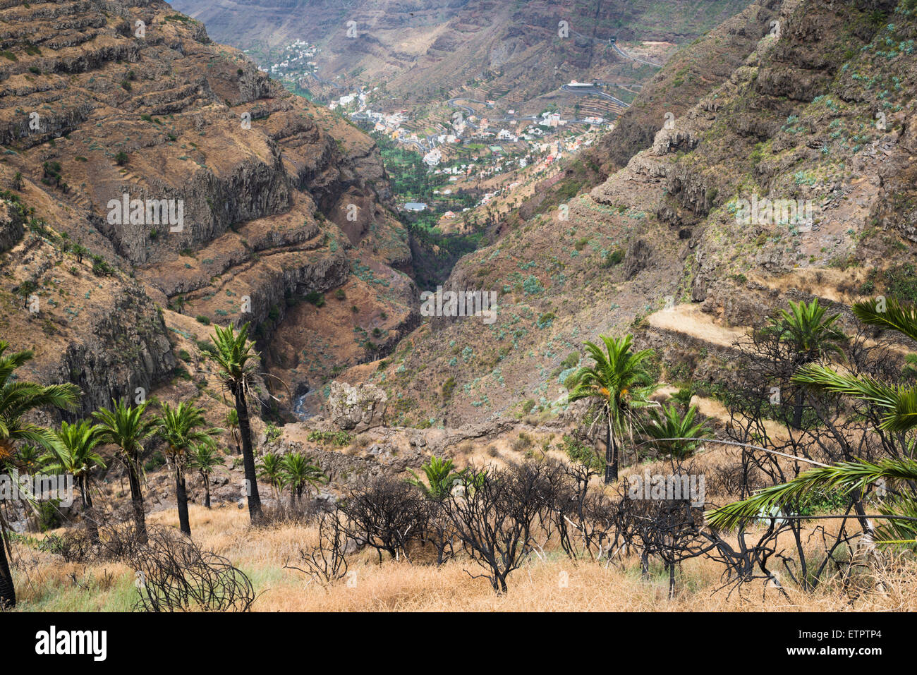 View down a steep barranco towards Valle Gran Rey, from El Cercado, La Gomera, Canary Islands, Spain Stock Photo