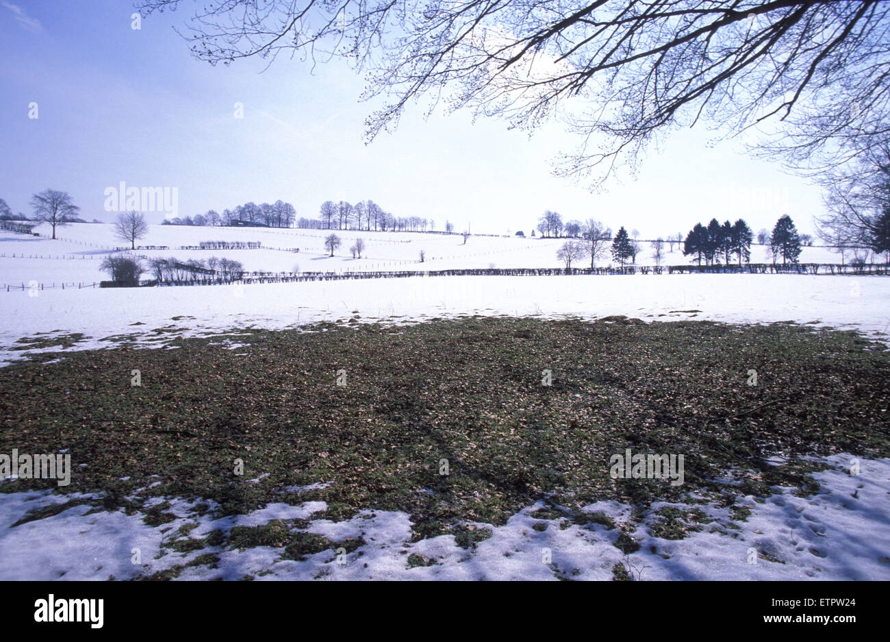 BEL, Belgium, Eastbelgium, snow covered fields near Robertville.  BEL, Belgien, Ostbelgien, schneebedeckte Felder bei Robertvill Stock Photo