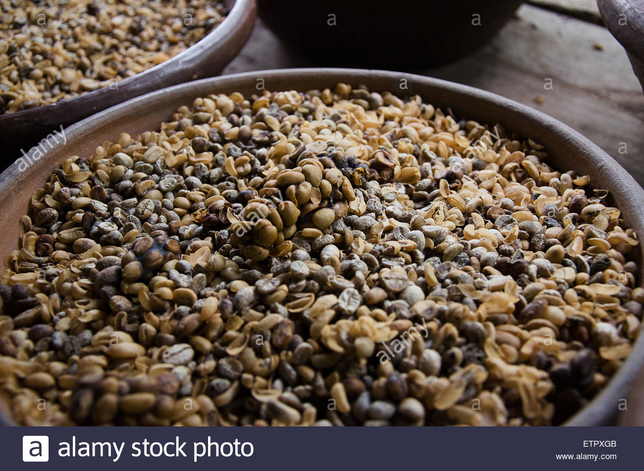 Kopi Luwak Coffee Stock Photos Kopi Luwak Coffee Stock Kopi Luwak Coffee Stock Photos Kopi Luwak Coffee Stock