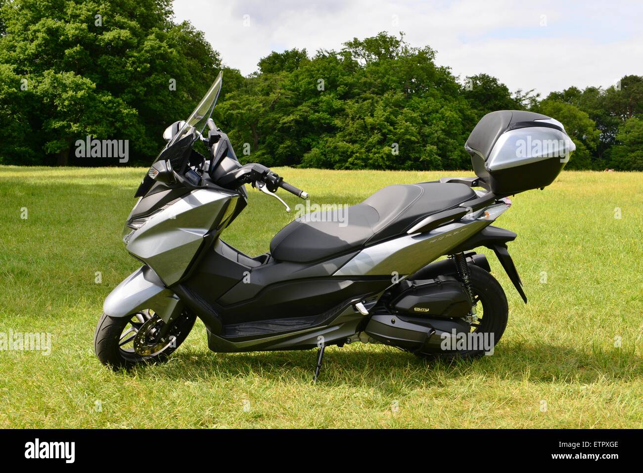 Honda Forza 125 scooter in a field at Boxhill in Dorking, Surrey Stock  Photo - Alamy