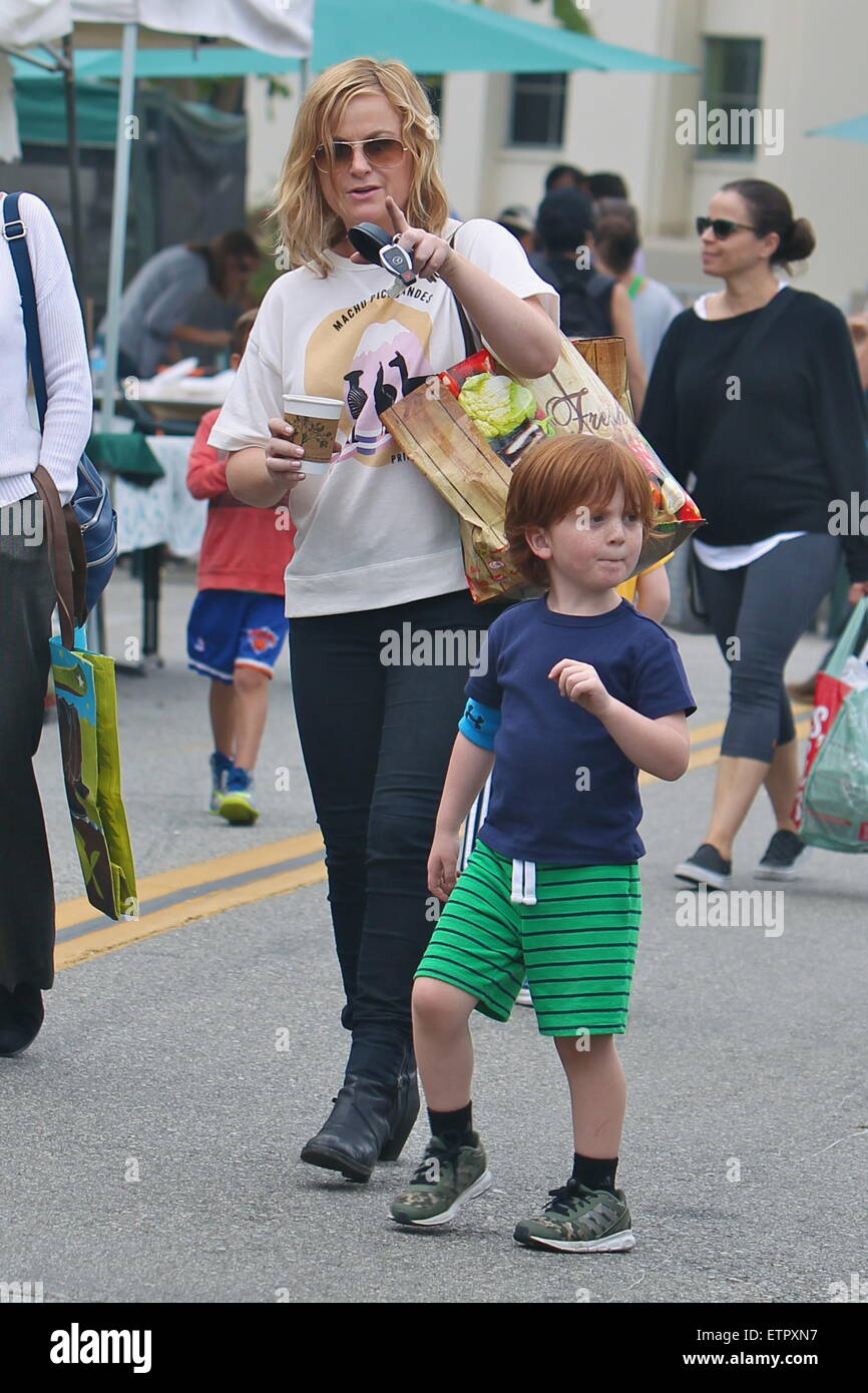 Amy Poehler takes her sons Archie and Abel to the Los Angeles Farmers