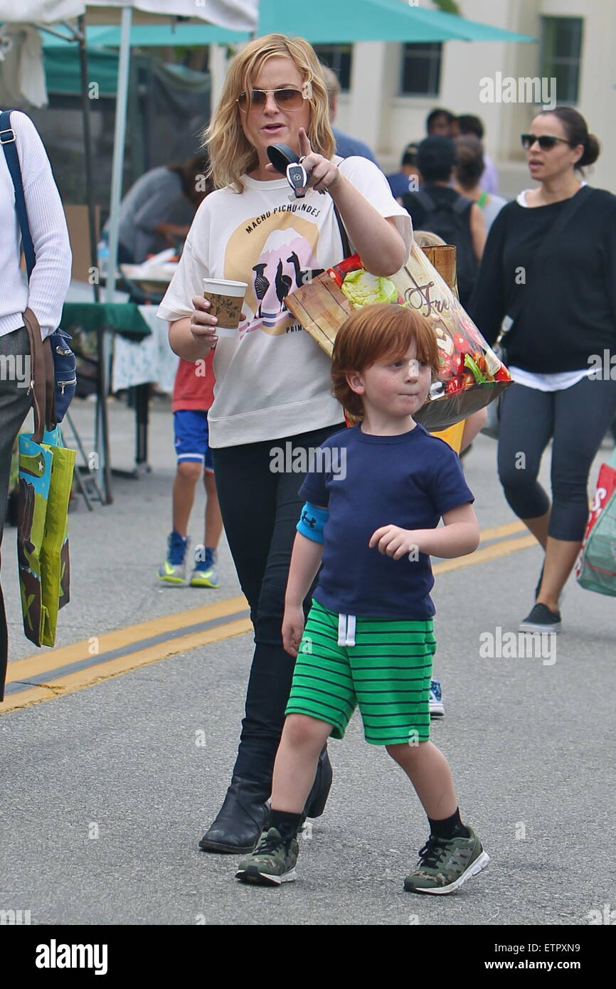 Amy Poehler takes her sons Archie and Abel to the Los Angeles Farmers
