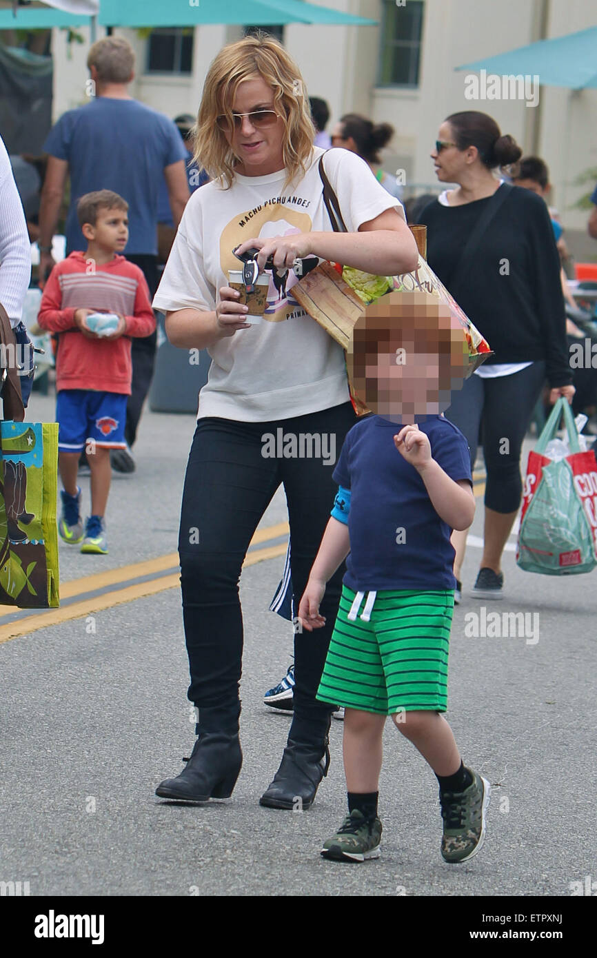 Amy Poehler takes her sons Archie and Abel to the Los Angeles Farmers
