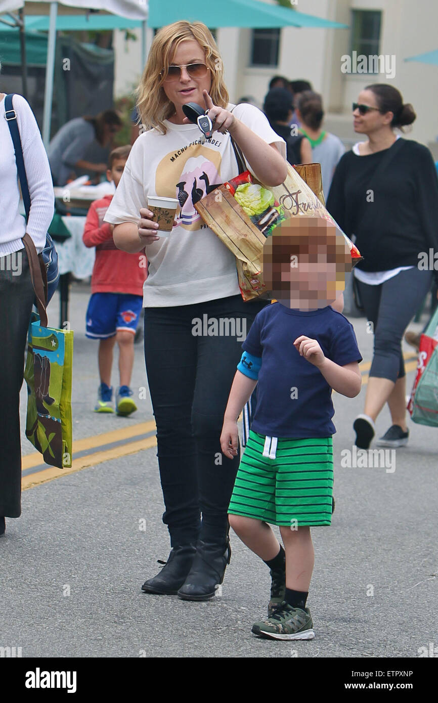Amy Poehler takes her sons Archie and Abel to the Los Angeles Farmers