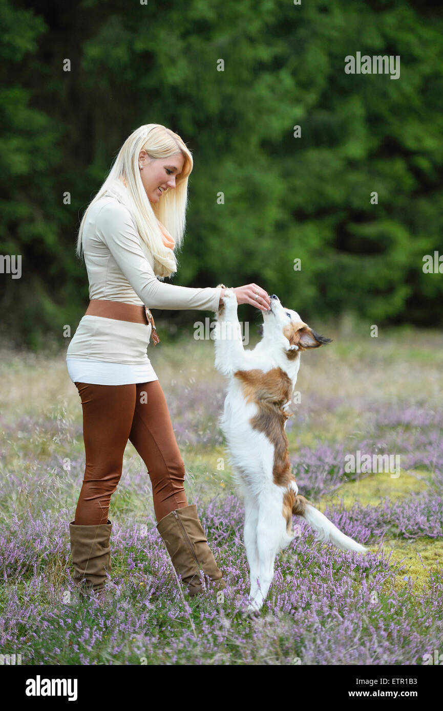 Woman, young, dog, Nederlandse Kooikerhondje, puppy, moor, side view, standing Stock Photo