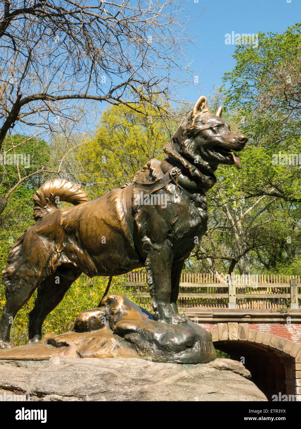 sled dog with statue in central park