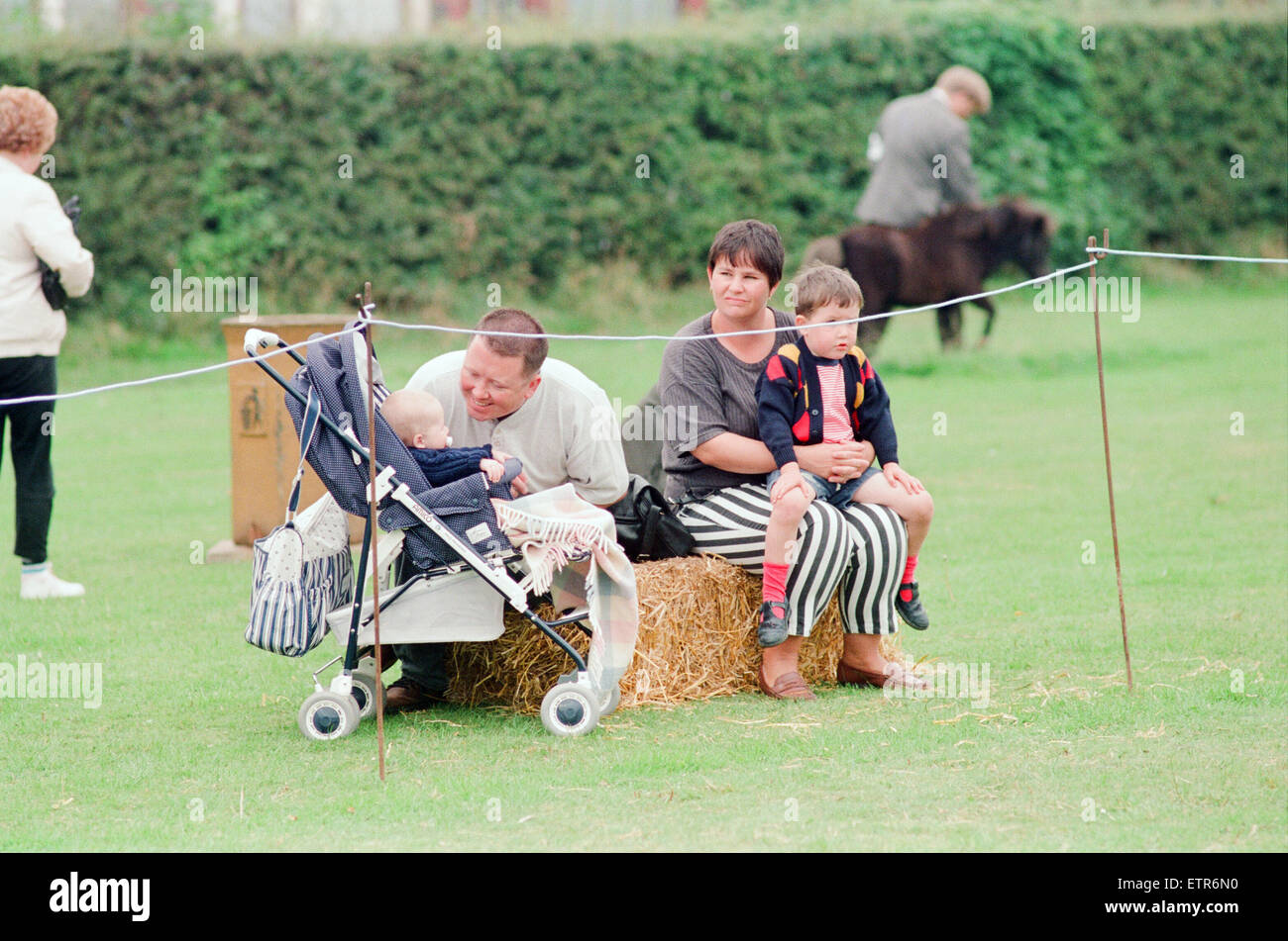 Shetland Pony Show, Liverpool, 3rd September 1994. Stock Photo