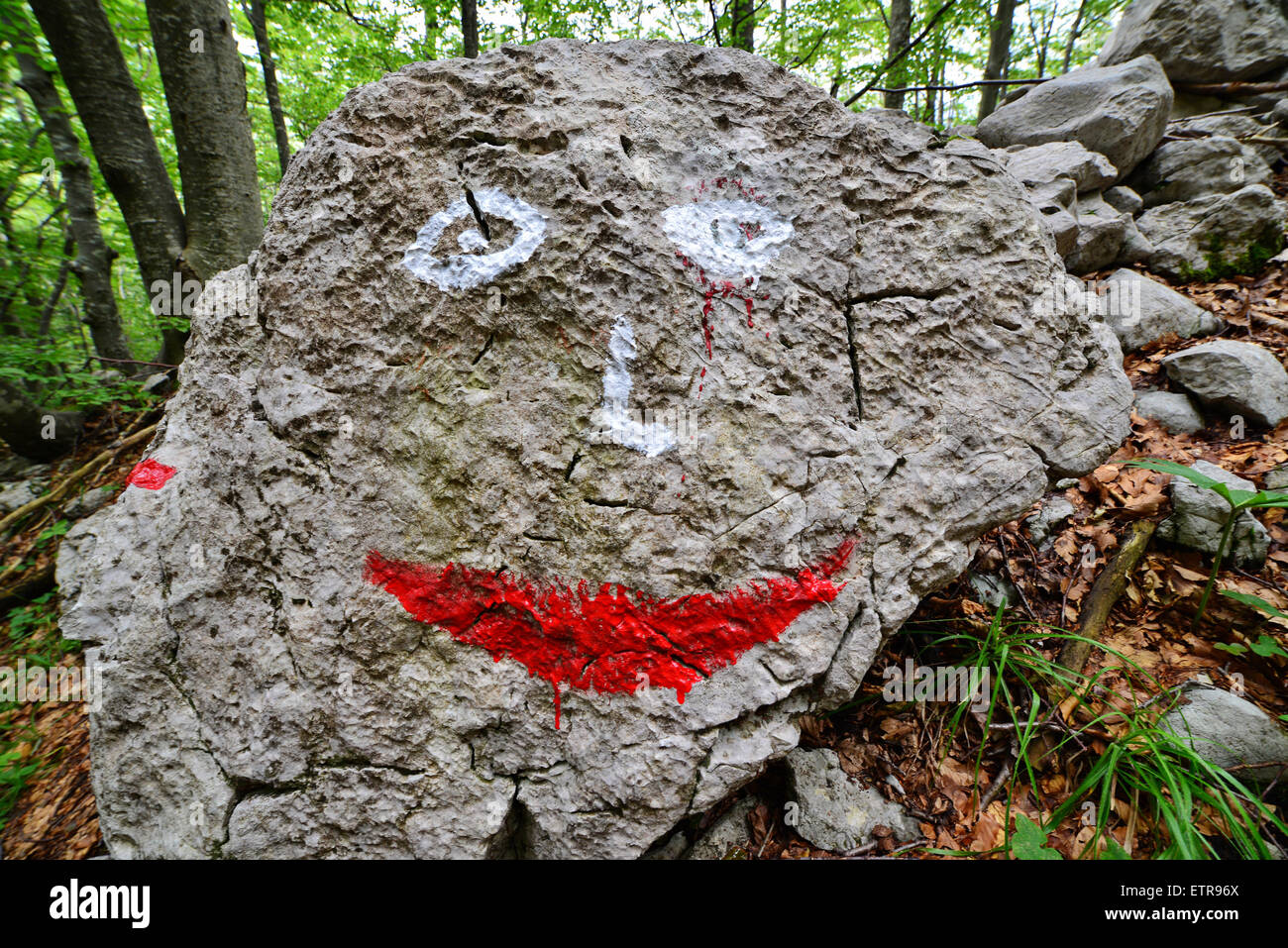 Signposts Rock Signpost, guide for Hikers, Rock, painted face Stock Photo - Alamy