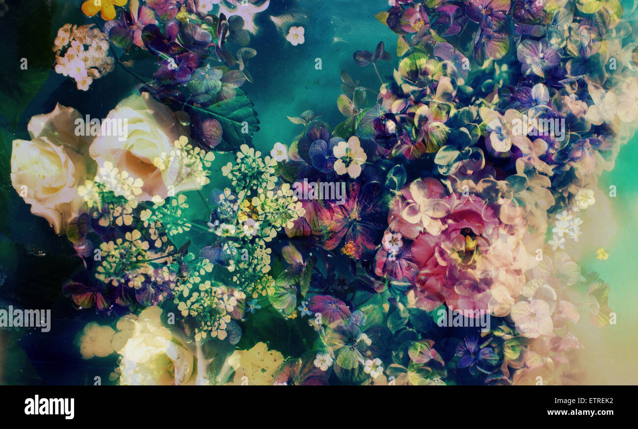 Poetic spring garden hires stock photography and images Alamy