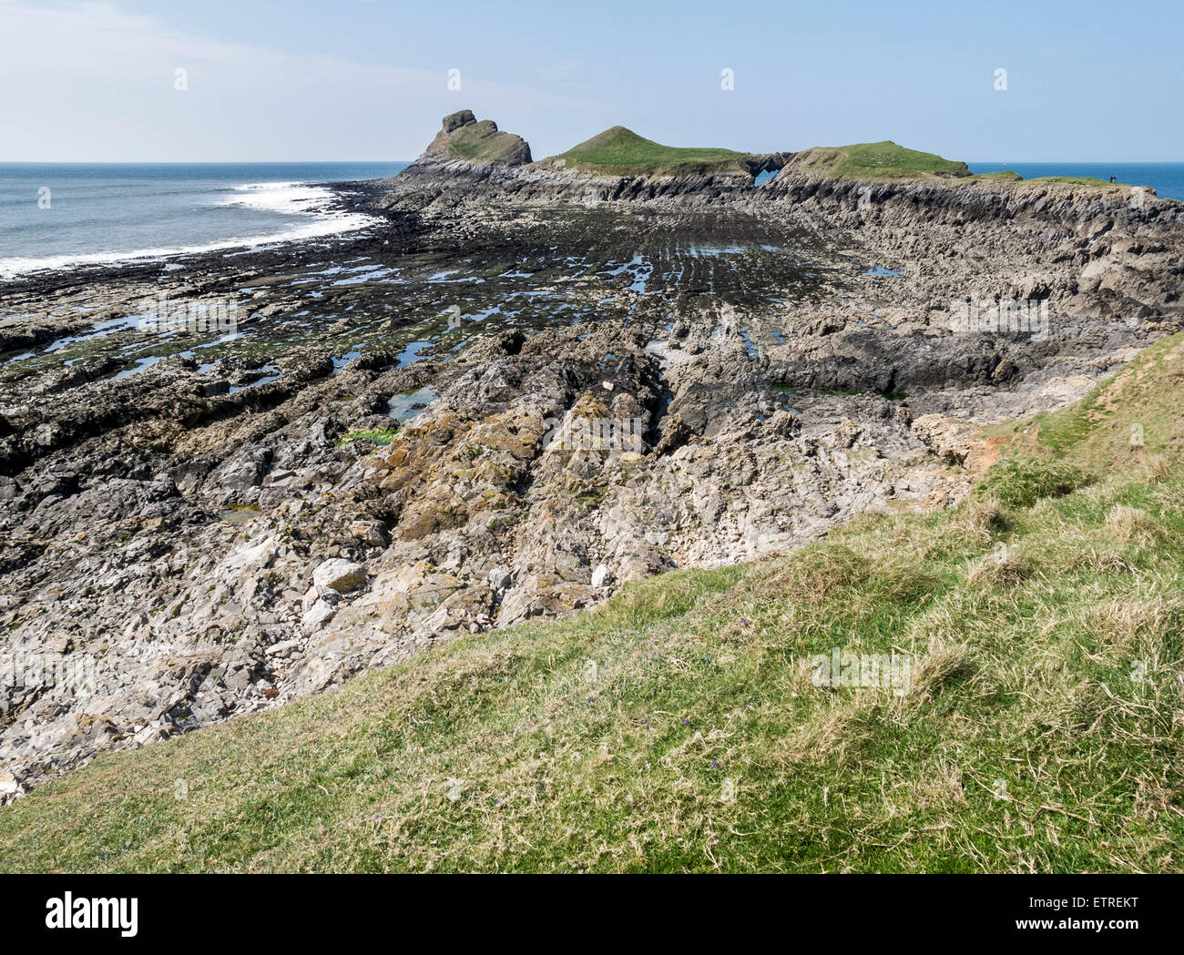 Wave cut platform exposed at low tide on Worm's Head, Gower, Wales Stock Photo