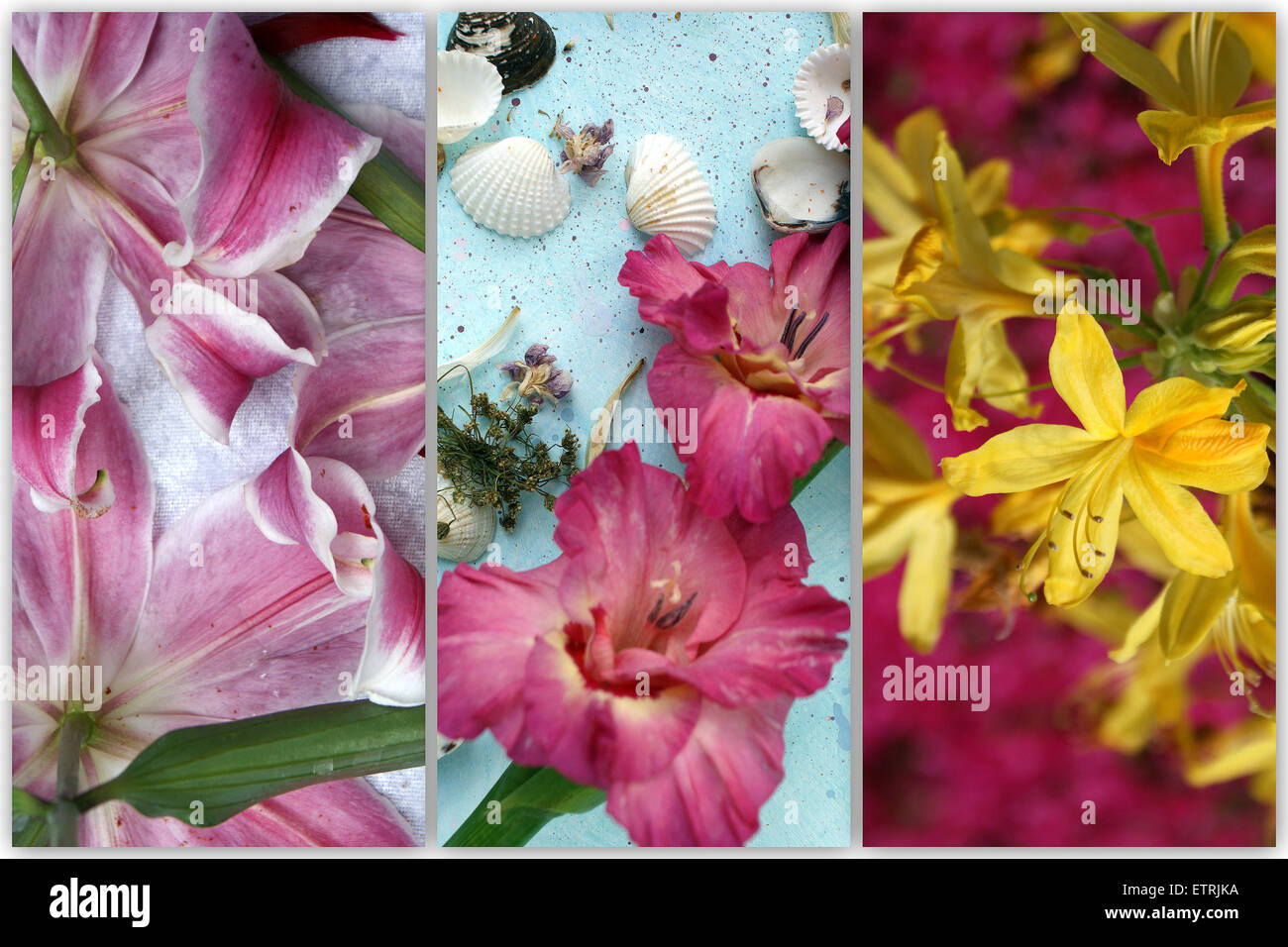 tryptich from gladiolus and different lilies Stock Photo Alamy