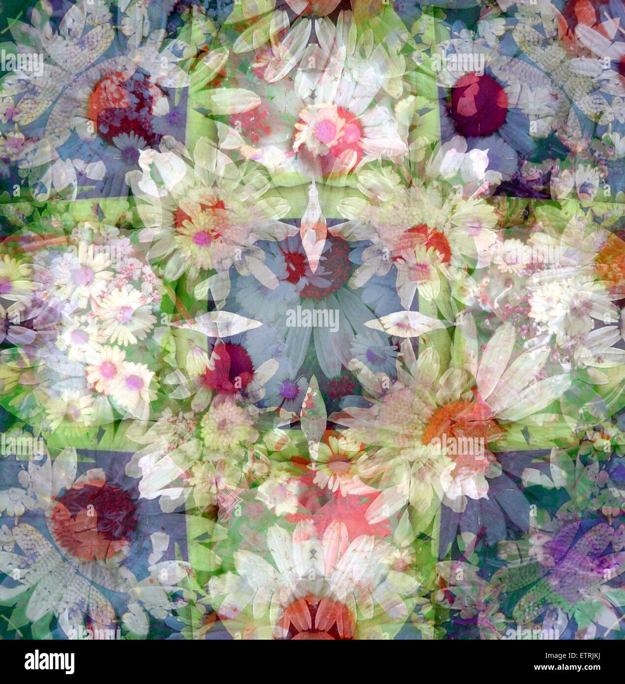 A symmetric Floral Montage. Stock Photo