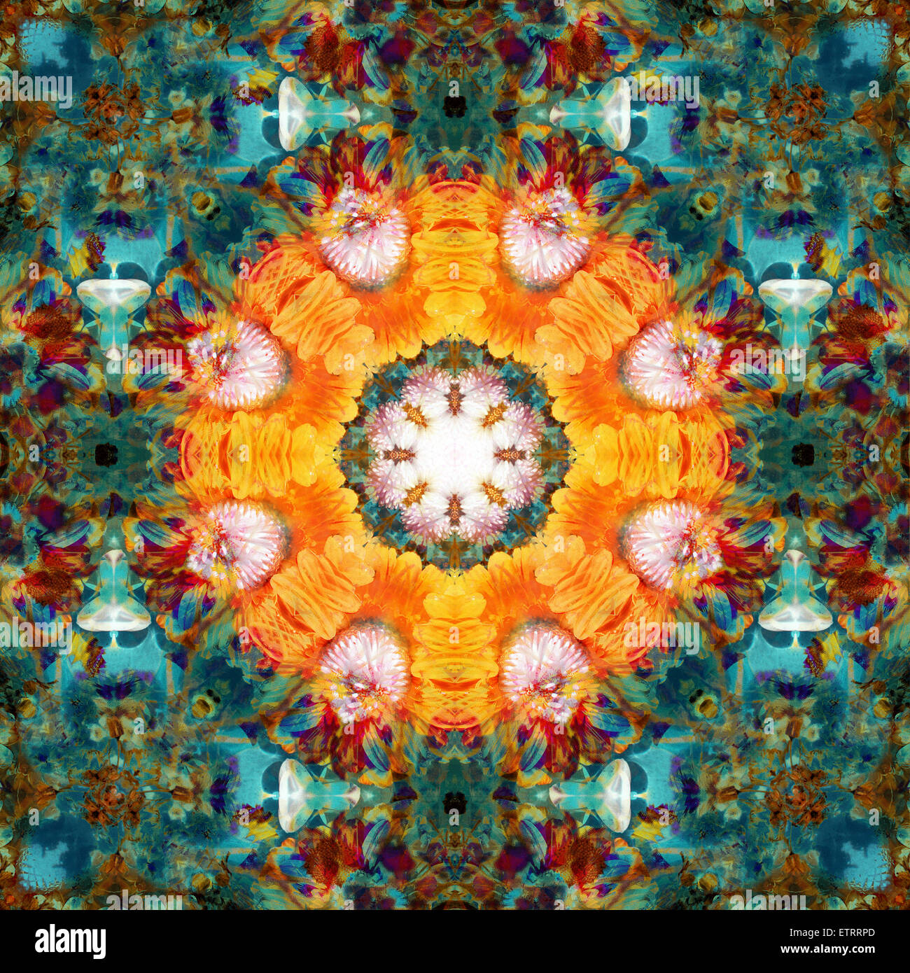 a mandala from flower photographs Stock Photo - Alamy
